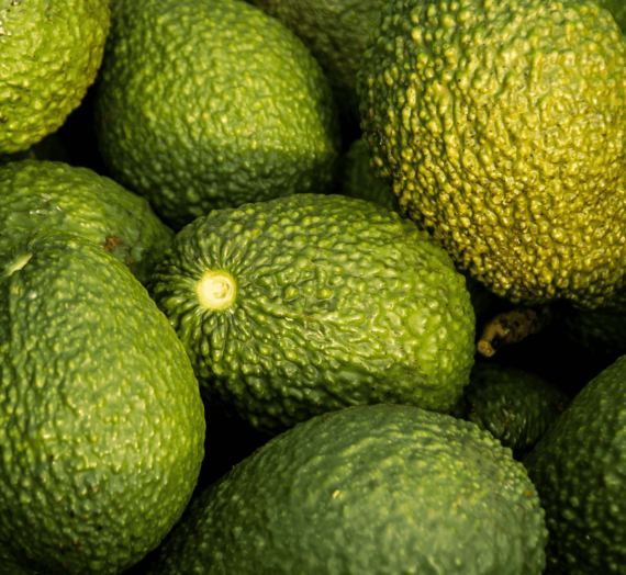 The Avocado – A Perfect Food