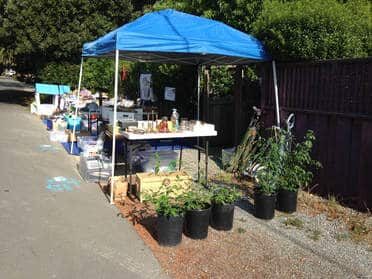 Where Should I Sell My Stuff?