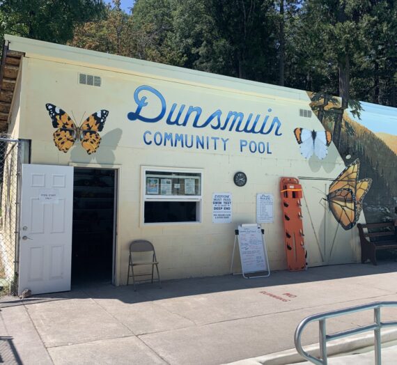 I Love a Good Swimming Pool