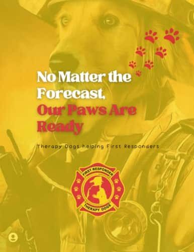 No Matter the Weather, Our Paws Are Ready