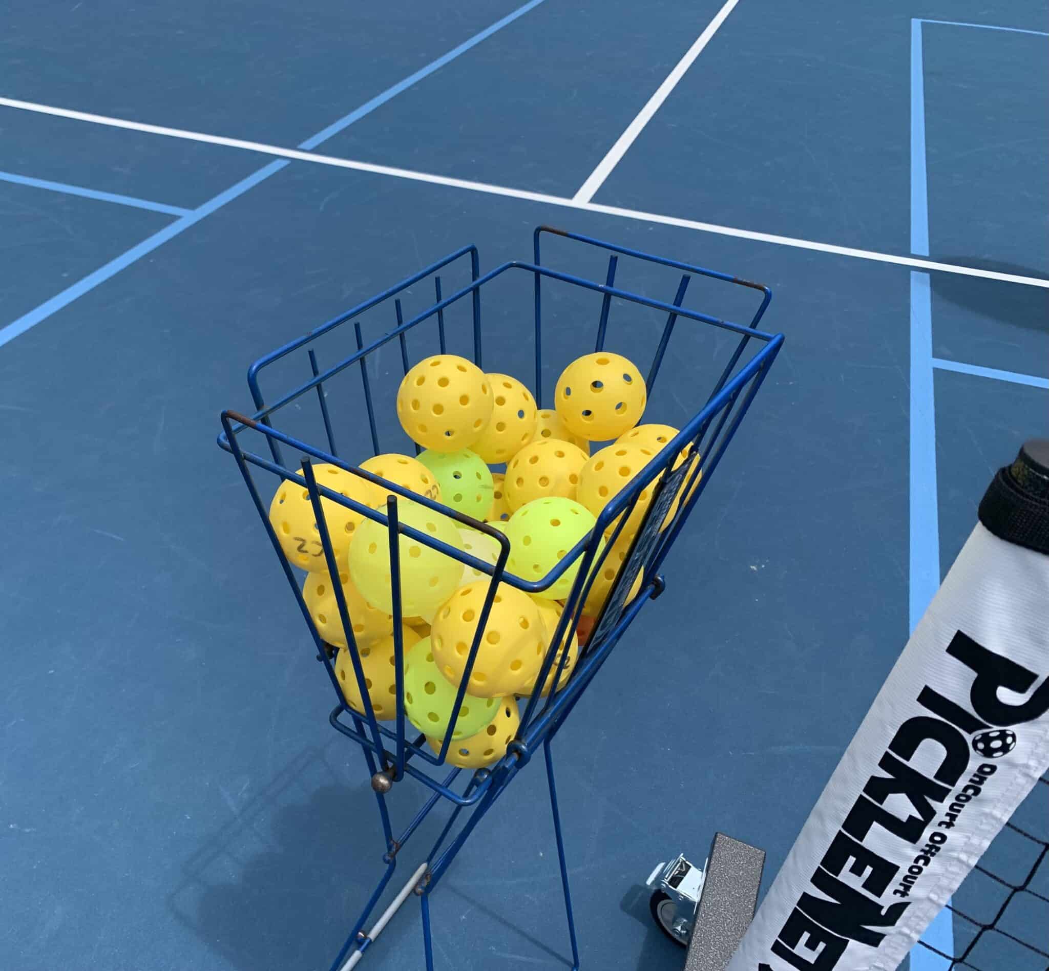 Day 30 The Pickleball Craze! | Anne Z on the Web