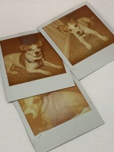 Polaroid Pics