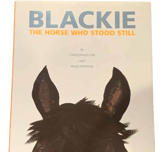 Blackie the Horse – Tiburon CA