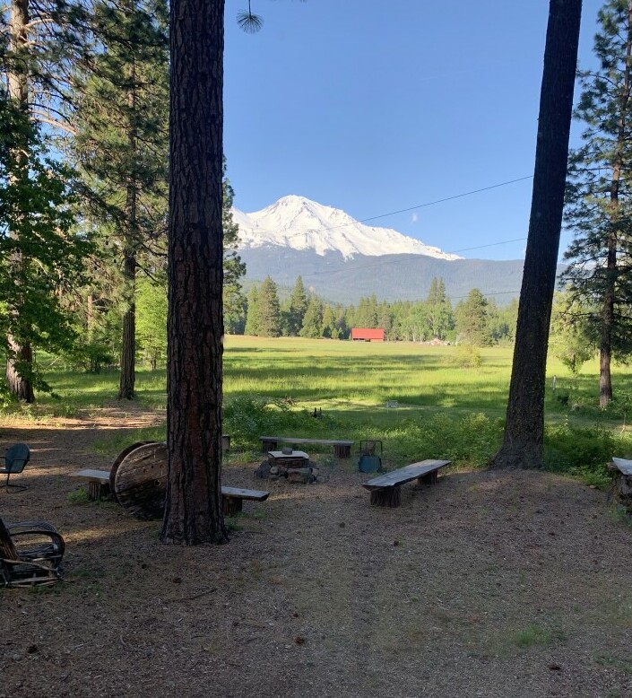 Mount Shasta view